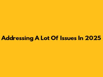 Addressing A Lot Of Issues In 2025