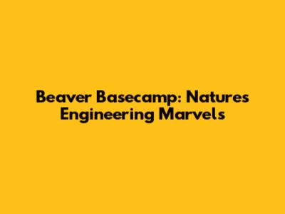 Beaver Basecamp: Nature's Engineering Marvels