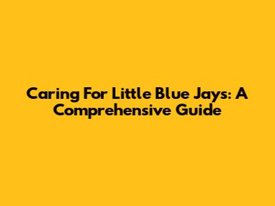 Caring For Little Blue Jays: A Comprehensive Guide