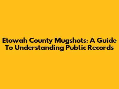 Etowah County Mugshots: A Guide To Understanding Public Records