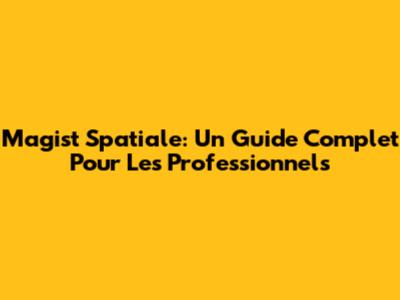 Magist Spatiale: Un Guide Complet Pour Les Professionnels