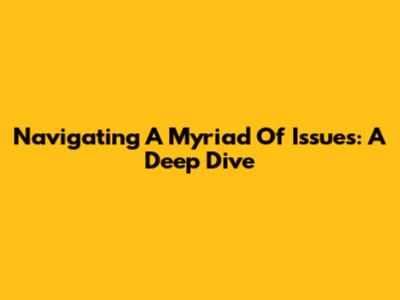 Navigating A Myriad Of Issues: A Deep Dive