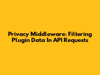 Privacy Middleware: Filtering Plugin Data In API Requests