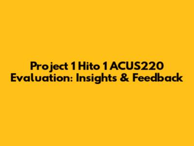 Project 1 Hito 1 ACUS220 Evaluation: Insights & Feedback