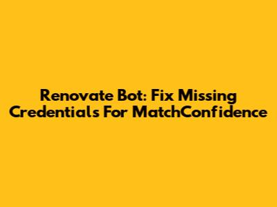 Renovate Bot: Fix Missing Credentials For MatchConfidence