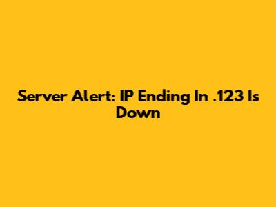 Server Alert: IP Ending In .123 Is Down