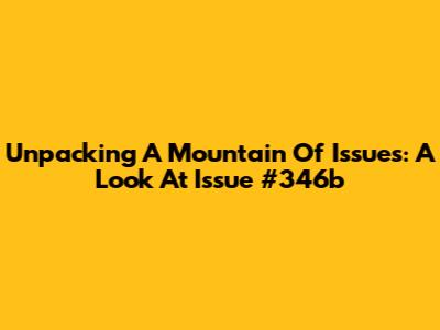 Unpacking A Mountain Of Issues: A Look At Issue #346b